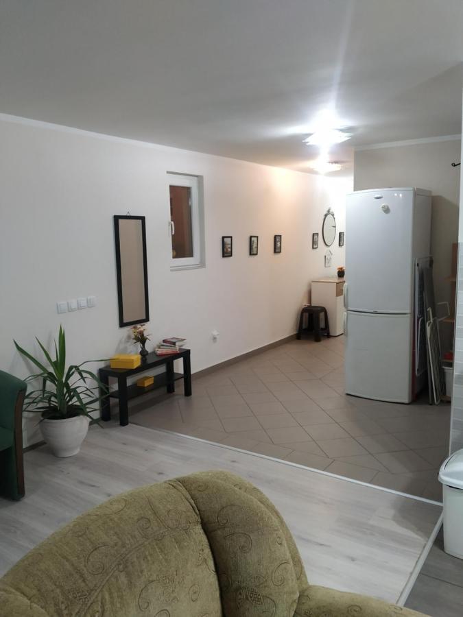 Ariana Apartman クラグイェヴァツ エクステリア 写真