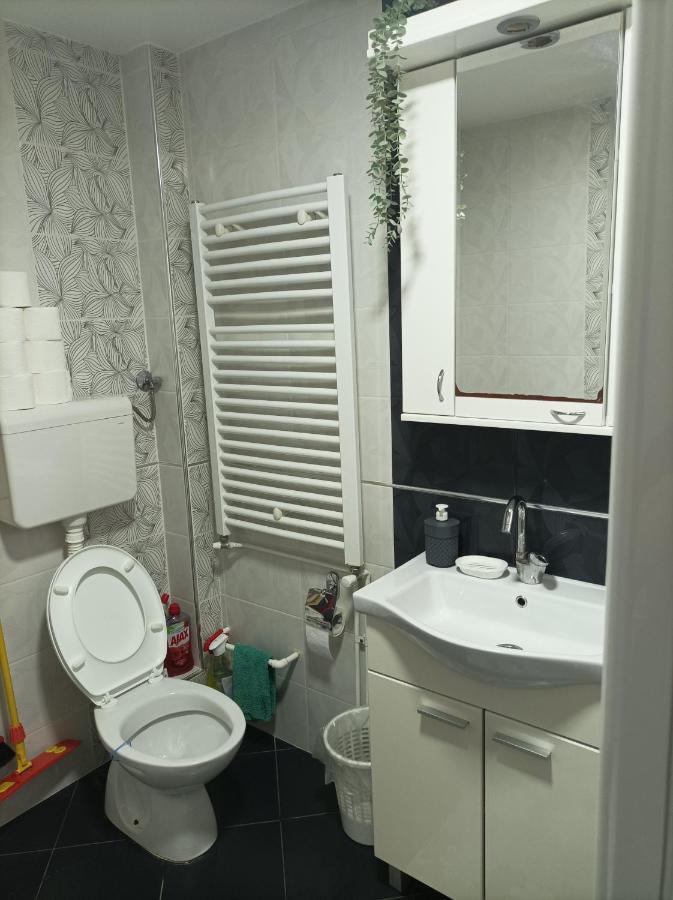 Ariana Apartman クラグイェヴァツ エクステリア 写真